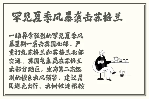 99久久99久久精品国产片果冻